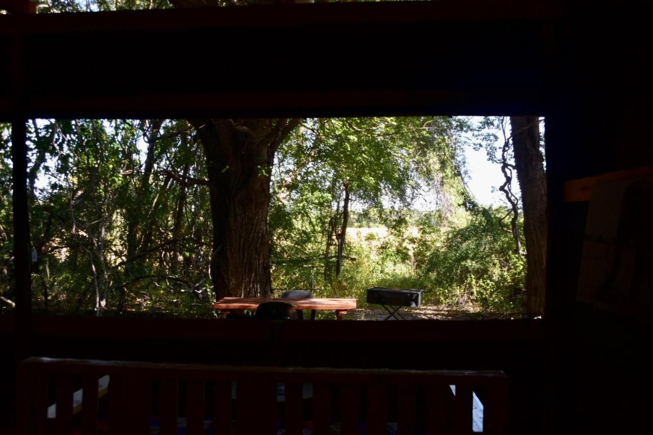 Phazama Farm Villa Maun Buitenkant foto