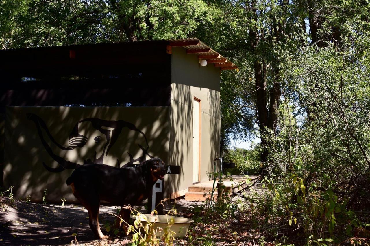Phazama Farm Villa Maun Buitenkant foto
