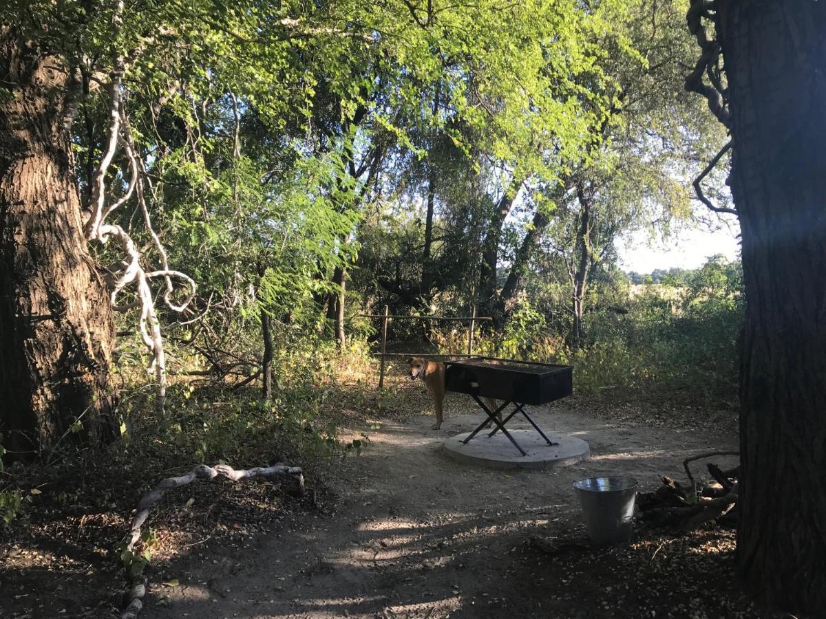 Phazama Farm Villa Maun Buitenkant foto