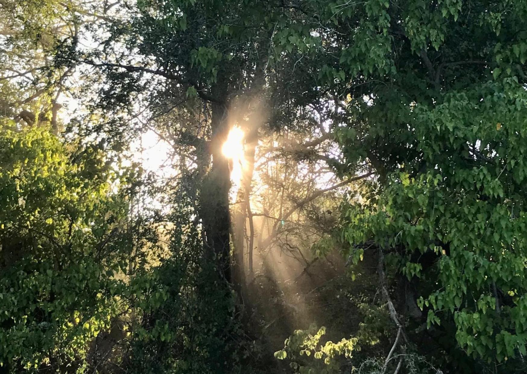 Phazama Farm Villa Maun Buitenkant foto