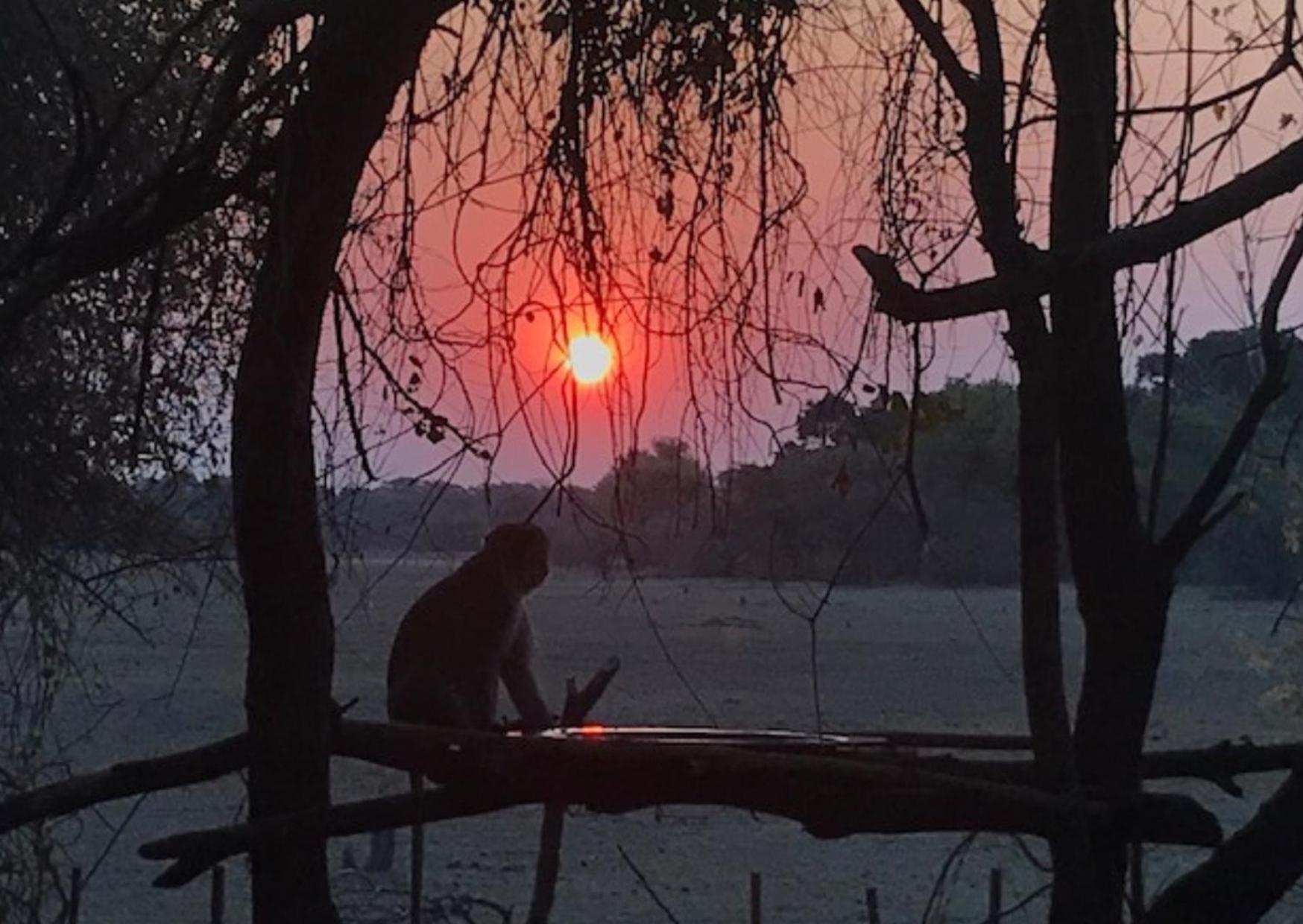 Phazama Farm Villa Maun Buitenkant foto